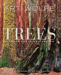 bokomslag McNamee, G: Trees