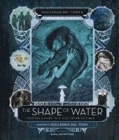 bokomslag Guillermo del Toro's the Shape of Water