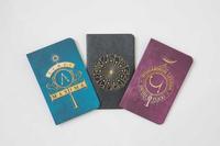 bokomslag Harry Potter: Spells Pocket Notebook Collection (Set of 3)