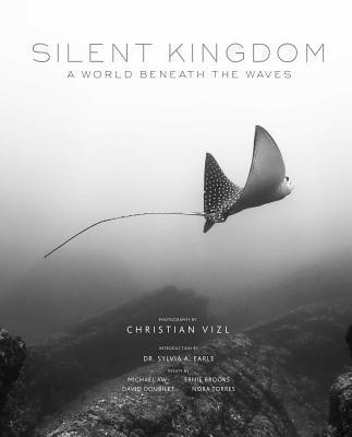 Silent Kingdom 1