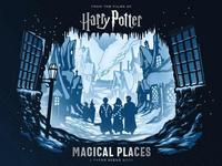 bokomslag Harry Potter: Magical Places