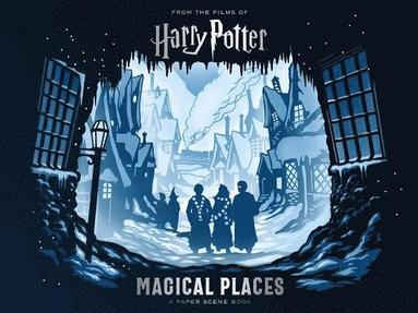 bokomslag Harry Potter: Magical Places