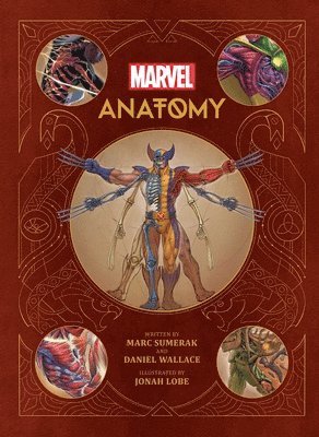 bokomslag Marvel Anatomy