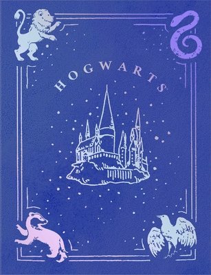 bokomslag Harry Potter Bullet Journal