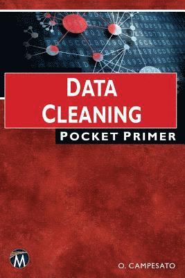 bokomslag Data Cleaning Pocket Primer