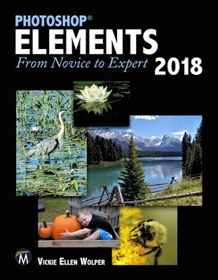 bokomslag Photoshop Elements 2018: From Novice to Expert