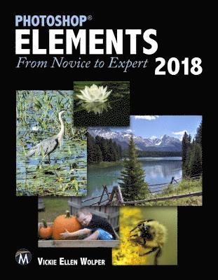 Photoshop Elements 2018 1