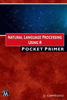 bokomslag Natural Language Processing Using R Pocket Primer