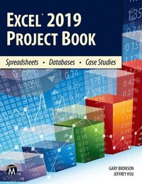 bokomslag Excel 2019 Project Book: Spreadsheets - Databases - Case Studies