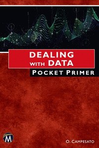 bokomslag Dealing With Data Pocket Primer