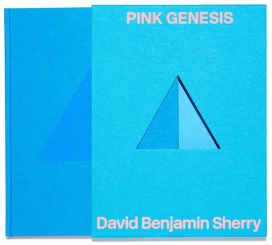 bokomslag David Benjamin Sherry: Pink Genesis