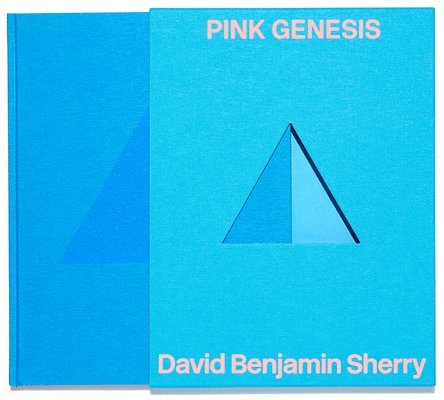 David Benjamin Sherry: Pink Genesis 1