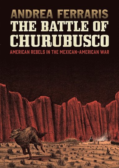 bokomslag Battle of Churubusco