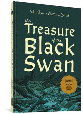 bokomslag Treasure of the Black Swan