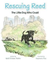 bokomslag Rescuing Reed: The Little Dog Who Could