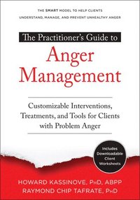 bokomslag The Practitioner's Guide to Anger Management