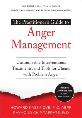 Howard Kassinove, Raymond Chip Tafrate - Practitioner's Guide to Anger Management, Häftad