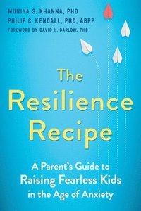 bokomslag The Resilience Recipe