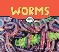 bokomslag Worms