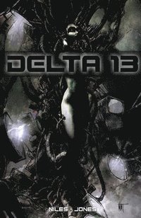 bokomslag Delta 13