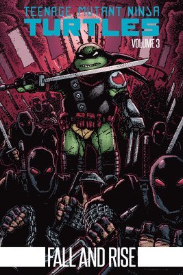Kevin Eastman, Tom Waltz - Teenage Mutant Ninja Turtles Volume 3: Fall and Rise, Häftad