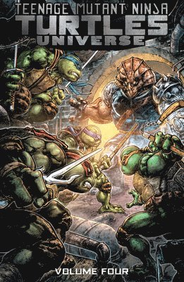 Chris Mowry, Paul Allor - TMNT UNIVERSE VOL 4 HOME, Häftad