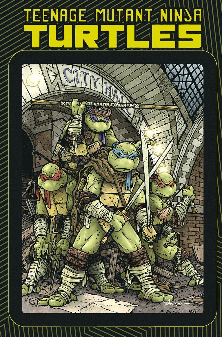 Teenage Mutant Ninja Turtles: Macro-Series 1