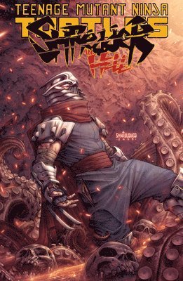 Teenage Mutant Ninja Turtles: Shredder In Hell 1
