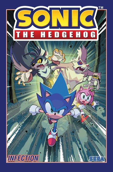 Ian Flynn - Sonic the Hedgehog, Vol. 4: Infection, Häftad