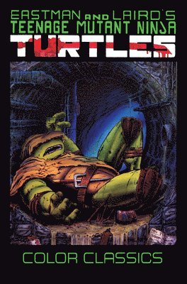 bokomslag Teenage Mutant Ninja Turtles Color Classics, Volume 3