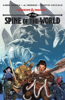 Dungeons & Dragons: At the Spine of the World 1