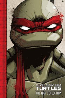 bokomslag Teenage Mutant Ninja Turtles: The IDW Collection Volume 1