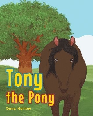 bokomslag Tony the Pony