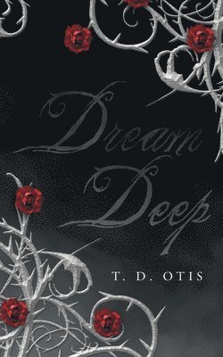 bokomslag Dream Deep