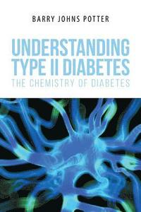 bokomslag Understanding Type II Diabetes