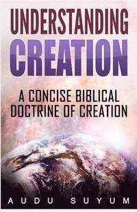 bokomslag Understanding Creation