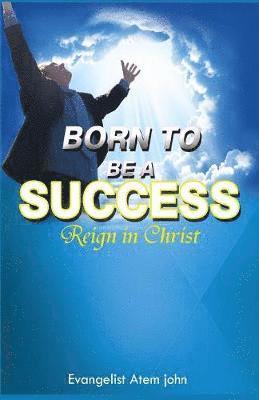 bokomslag Born to be a Success