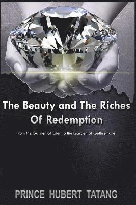 bokomslag The Beauty and The Riches of Redemption