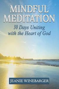 bokomslag Mindful Meditation
