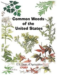 bokomslag Common Weeds of the United States