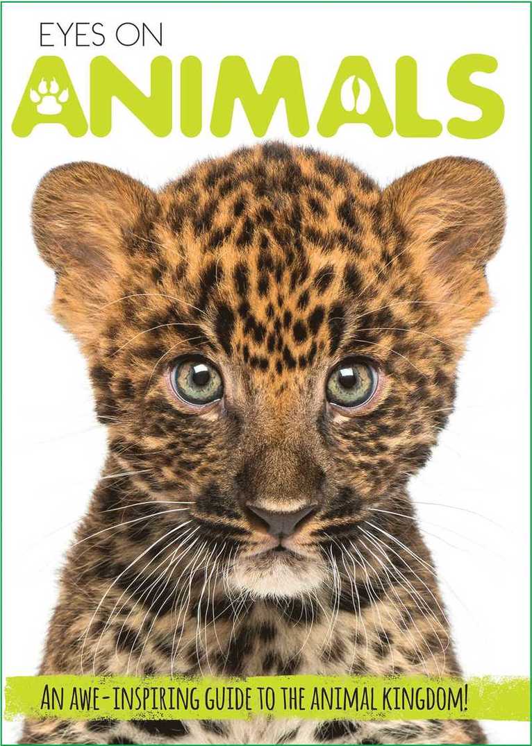 Courtney Acampora - Eyes On Animals, Inbunden