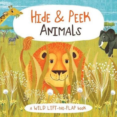 bokomslag Hide & Peek Animals