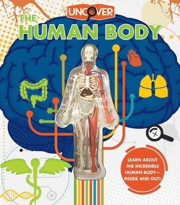 bokomslag Uncover the Human Body