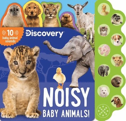 Thea Feldman - Discovery: Noisy Baby Animals!, Kartonnage