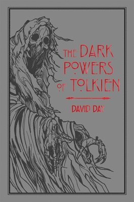 bokomslag Dark Powers Of Tolkien