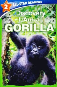 bokomslag Discovery All-Star Readers: I Am a Gorilla Level 2