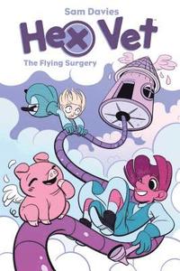 bokomslag Hex Vets: The Flying Surgery