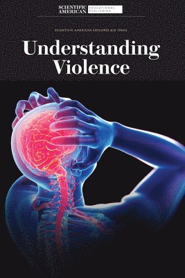 Understanding Violence 1