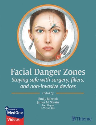 bokomslag Facial Danger Zones