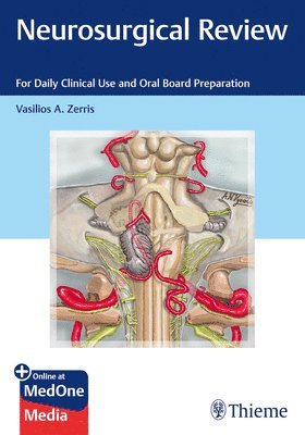 bokomslag Neurosurgical Review